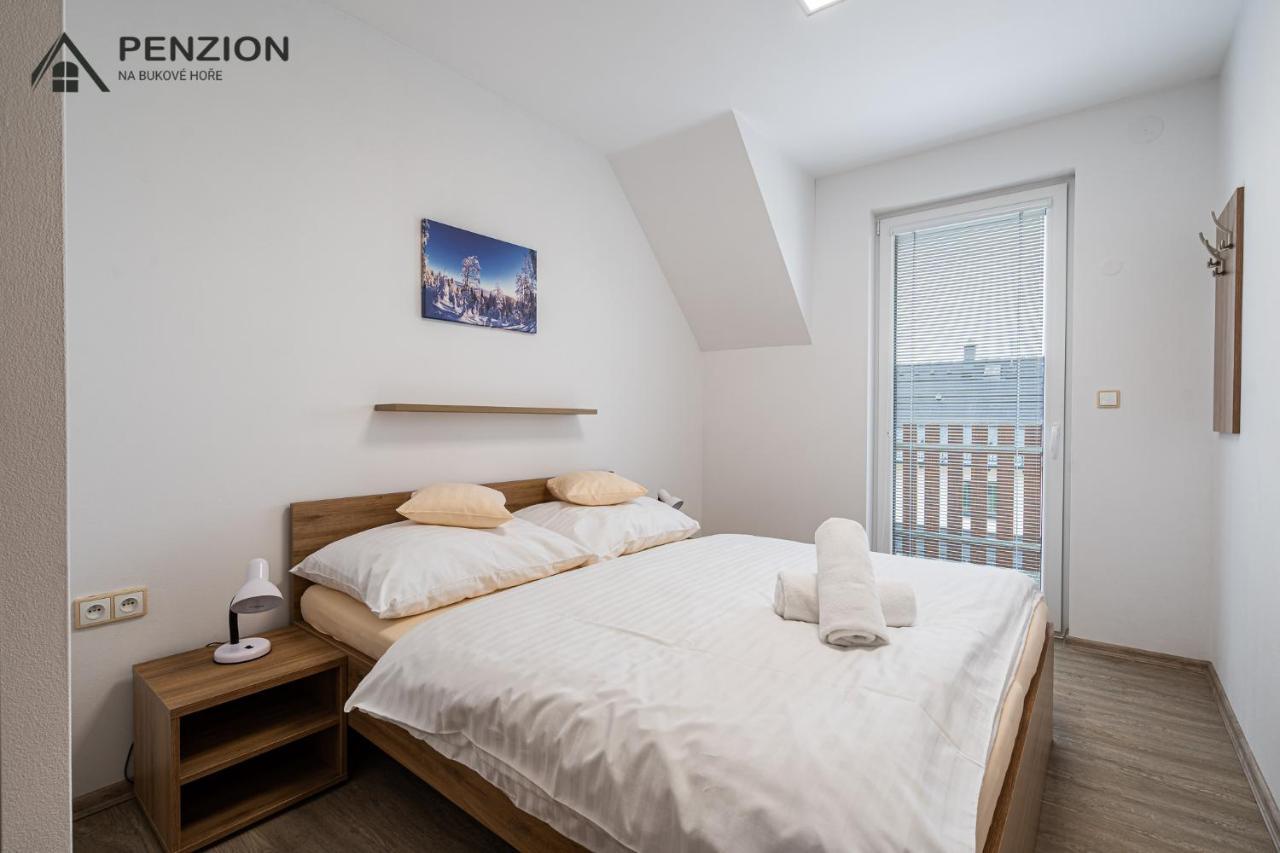 Appartement PENZION NA BUKOVÉ HOŘE - apartmánový dům à Červená Voda Extérieur photo