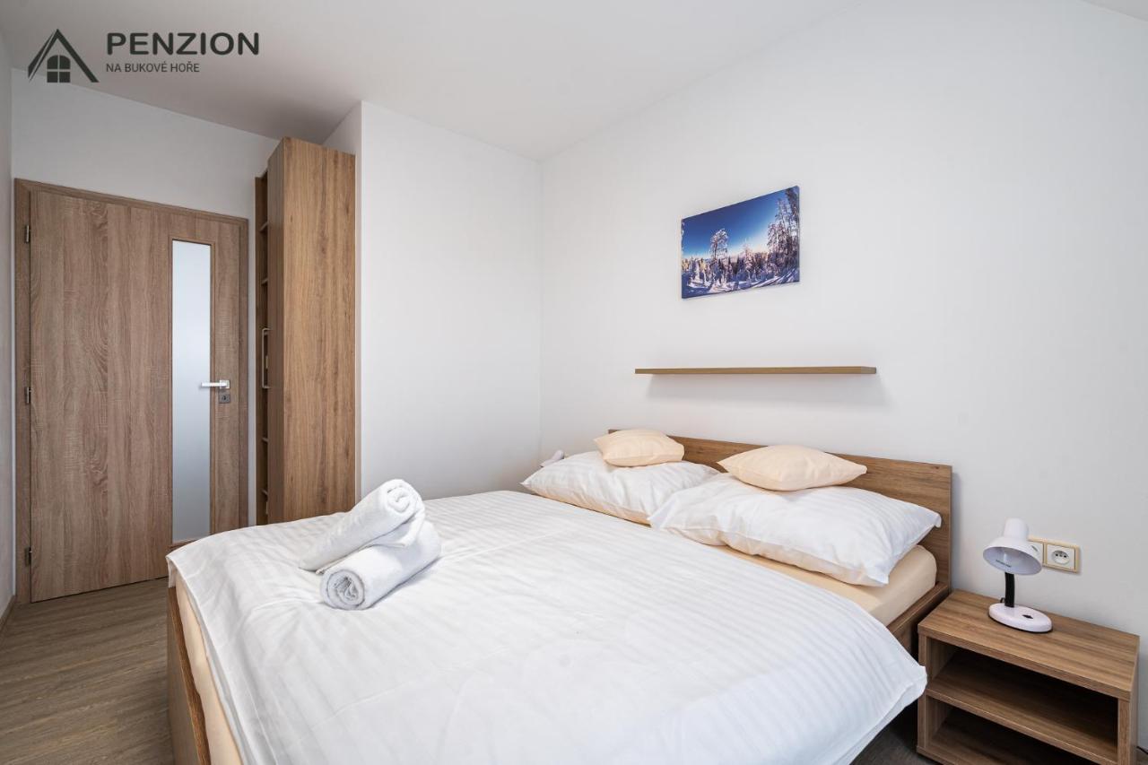 Appartement PENZION NA BUKOVÉ HOŘE - apartmánový dům à Červená Voda Extérieur photo